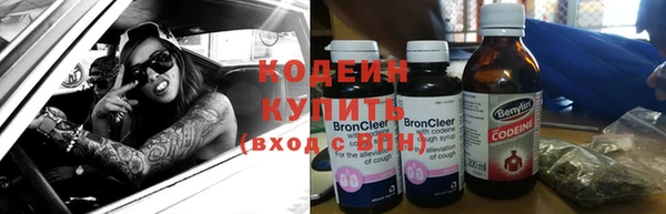 хмурый Дмитровск
